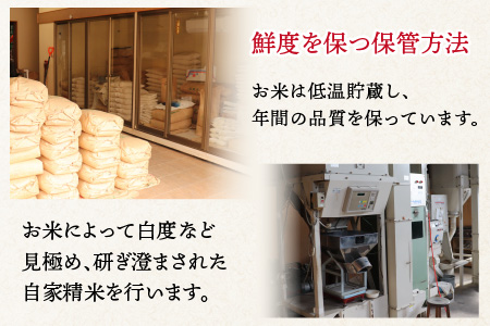 定期便6回 いちほまれ 玄米 5kg×6回（計30kg）《新鮮な高品質米をお届け！》／ 福井県産 ブランド米 ご飯