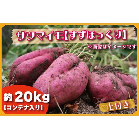 ふるさと納税 BZ-29 2023年度産約20kgコンテナ入りサツマイモ（すずほっくり） 茨城県行方市