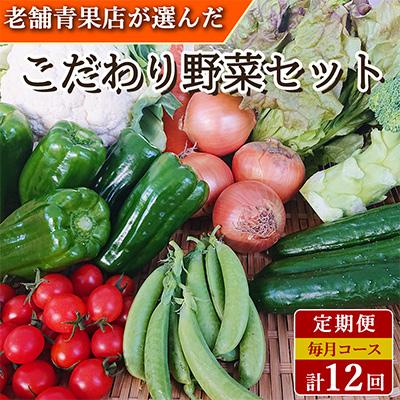 ふるさと納税 時津町 こだわり野菜セット 7品目以上 詰め合わせ (時津町)全12回