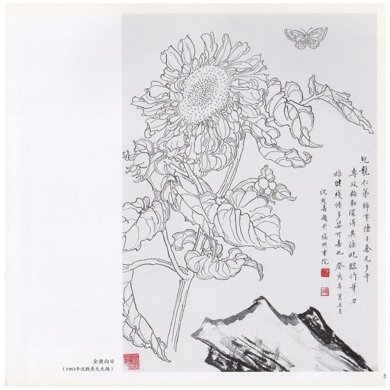 カキ　白描花卉　中国画技法　学画宝典　中国絵画 白描花卉　学画宝典