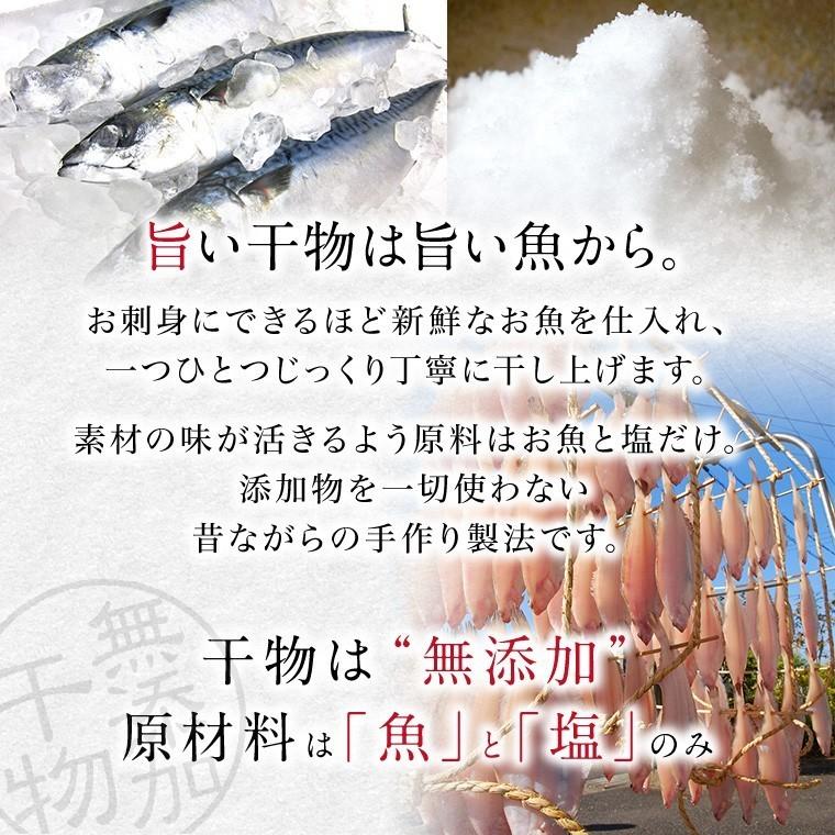 特大 サバ 干物 1尾 巨大 キング さば 鯖 干物セット 真空パック 一夜干し 一夜干し魚 一夜干しセット ((冷凍))