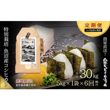 ふるさと納税 ≪令和5年産≫農家直送！魚沼産コシヒカリ特別栽培「白羽毛の米」精米(5kg×1袋.. 新潟県十日町市