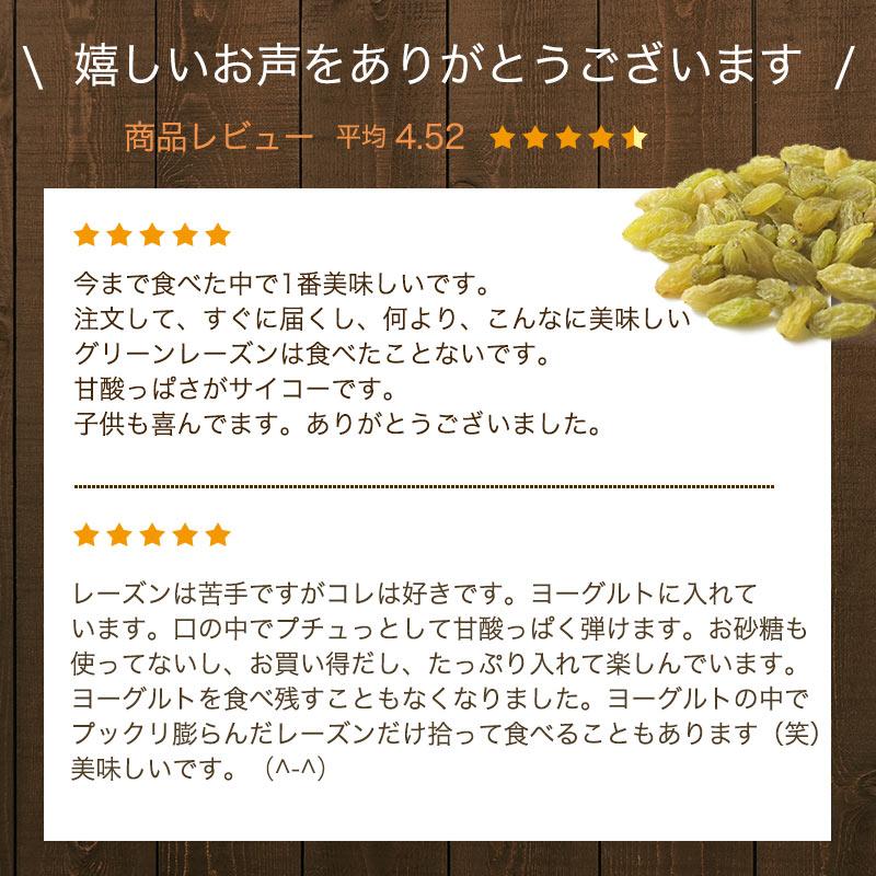 ドライフルーツ レーズン 干しぶどう グリーンレーズン ノンオイル 無添加 500g トルファン 干し葡萄