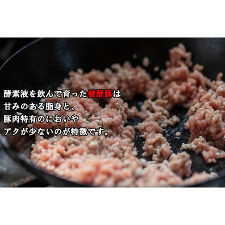 ふるさと納税 ＜定期便6回＞ 北海道産 健酵豚 ひき肉 計 1.2kg (全7.2kg) 北海道新ひだか町