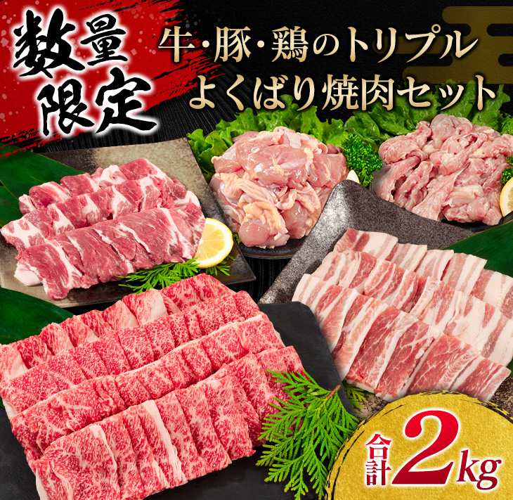 C73-21 ≪数量限定≫牛・豚・鶏のトリプルよくばり焼肉セット(合計2kg)　肉　牛肉　豚肉　鶏肉