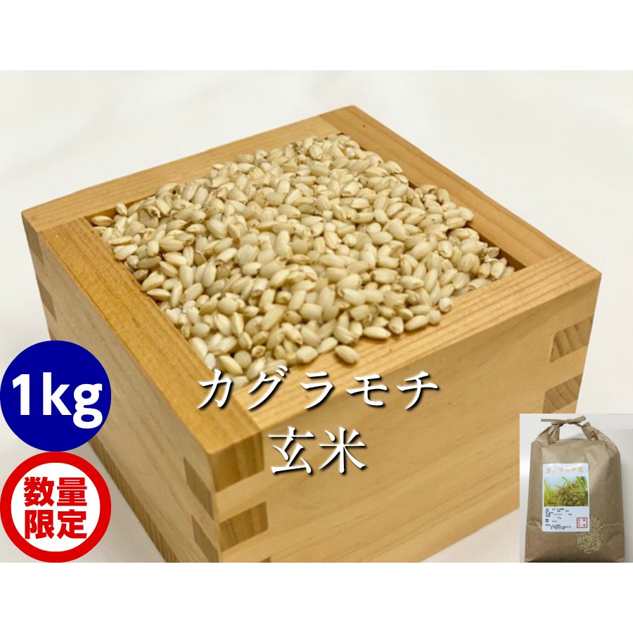 令和5年産 新米 カグラモチ 玄米 1kg