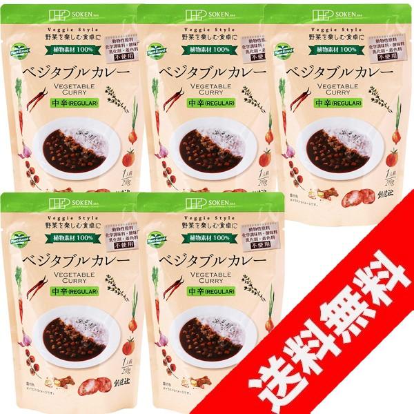 創健社ベジタブルカレー REGULAR 中辛 レトルト 210g×5袋セット