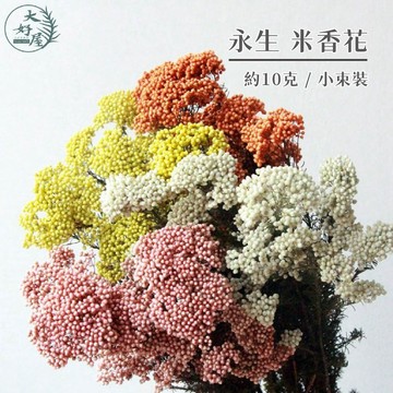 大好屋 台灣現貨 高CP 米香花 米香 永生米香花 不凋花 花瓶插花保鮮花 拍攝拍照背景 婚禮小物 居家佈置