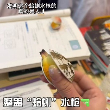 臺灣出🔥仿真蛤喇噴水 玩具噴水 兒童 蛤蜊 花甲 滋水玩具 夏季 戶外戲水 花甲玩具 純手動無電池