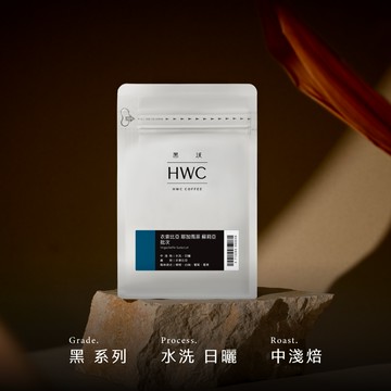 衣索比亞 耶加雪菲 蘇莉亞 批次 半磅咖啡豆