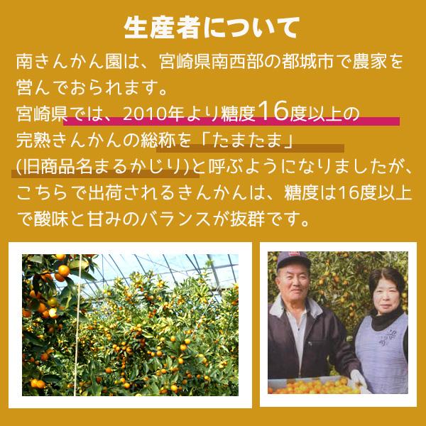 最高糖度18度 減農薬 宮崎産 完熟 きんかん 金柑 1kg Lサイズ 贈答用 産地直送