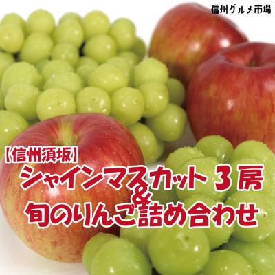 ふるさと納税 須坂市 　シャインマスカット3房旬のりんごの詰め合わせ　信州グルメ市場厳選