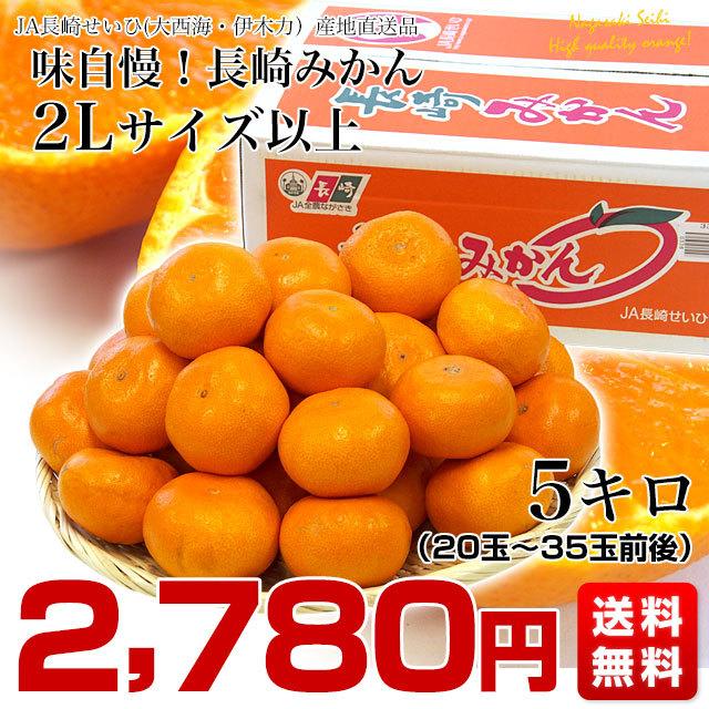 長崎県より産地直送 JA長崎せいひ 長崎みかん ２L以上の大玉 5キロ（20玉から35玉前後） 蜜柑 ミカン　送料無料　御歳暮 お歳暮