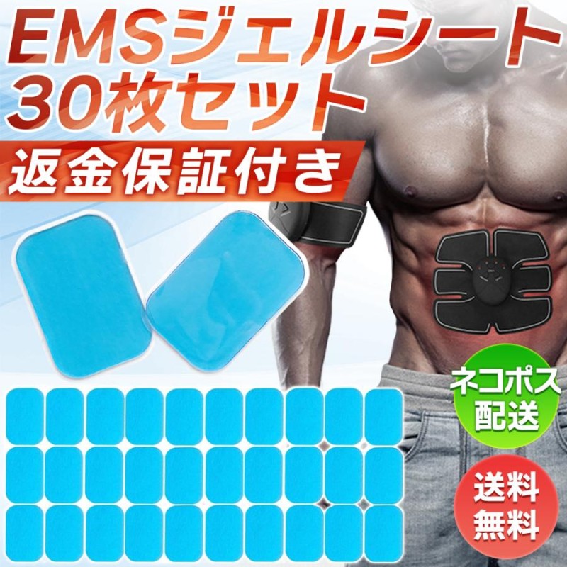 ステファニー マッスルフライ EMS 本体とゲルパッド（4枚入）×3 EMS