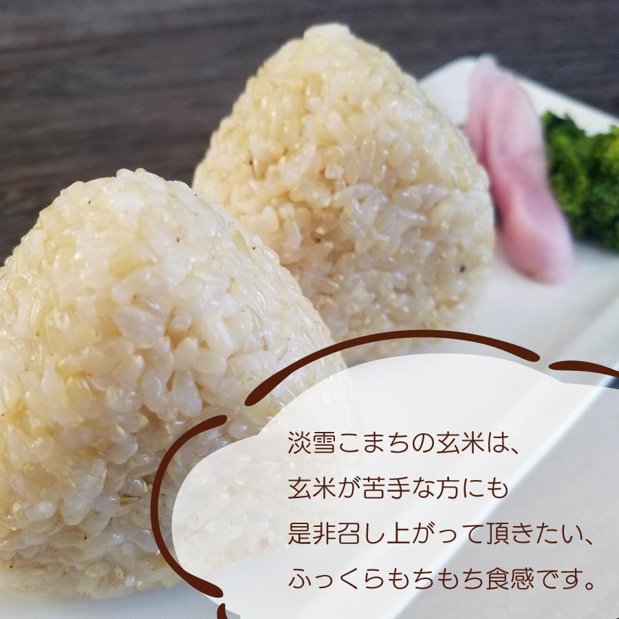 玄米 令和４年産 淡雪こまち ５kg 秋田県産 送料無料 国産 ギフト お米 お取り寄せ お試し 御中元 お中元 御歳暮 敬老の日 御礼 誕生祝い 御祝 返礼品