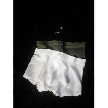 英倫風男士內褲純棉平角褲高彈抗菌舒適透氣四角褲中腰青年秋冬