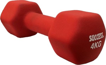 成功防滑塑身啞鈴4kg