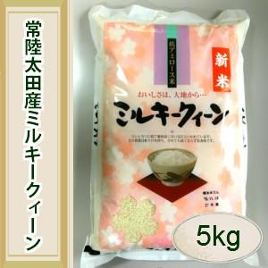 ミルキークイーン 白米 5kg 茨城県産 令和5年産 冷えた後も硬くなりにくいので、おにぎりに適しています！