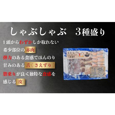 ふるさと納税 くじら 三昧 しゃぶしゃぶ 竜田 揚げ 鯨肉 タン 舌 皮 鍋 だし 冷凍 鯨 クジラ 山賀 下関 山口  AS153 鯨 下関鯨 鯨肉 鯨の名産.. 山口県下関市