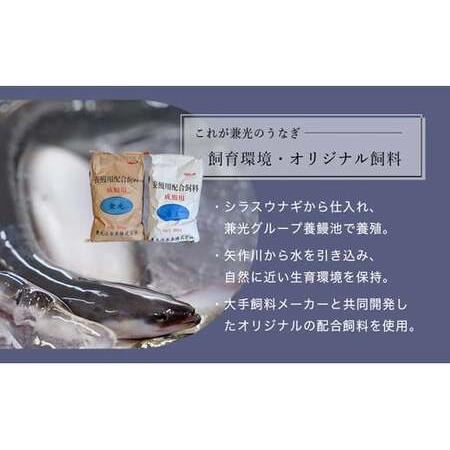 ふるさと納税 愛知県三河一色産うなぎ蒲焼き特大サイズ2尾＋きざみうなぎ2食入りセット(長焼き2尾で400g.. 愛知県西尾市