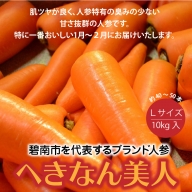 碧南市を代表するブランド人参「へきなん美人」 にんじん 10kg　H017-066