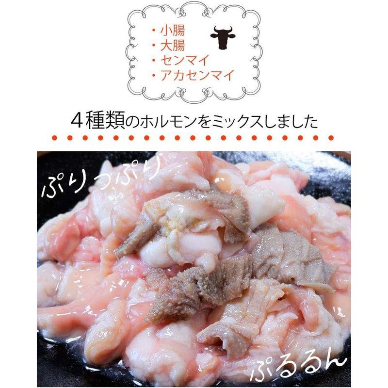 熊本和牛あか牛 ミックスホルモン 500gもつ鍋、焼肉、バーベキュー、ホルモン焼きに下味なし（4種）小腸・大腸・センマイ・アカセンマイ