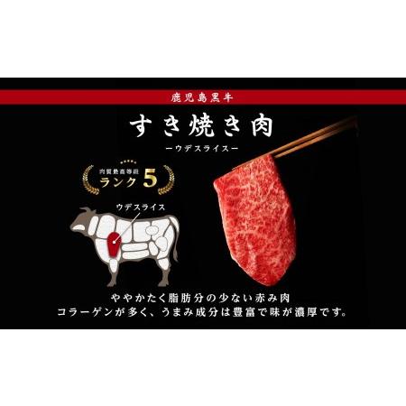 ふるさと納税 鹿児島黒牛サーロインステーキ（1枚）・すきやきセット（800g） 鹿児島県大崎町