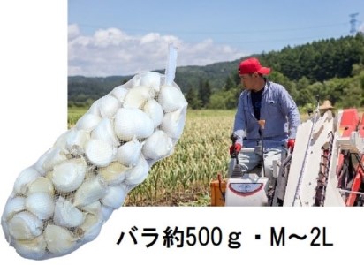 丸美農園 田子町産にんにく家庭用バラ約500g・M～2L