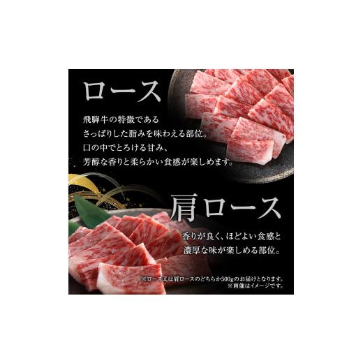 ふるさと納税 岐阜県 池田町 牛肉 飛騨牛 焼き肉 セット ロース 又は 肩ロース 500ｇ 黒毛和牛 Ａ5 美味しい お肉 牛 肉 和牛 焼肉 BBQ バーベキュー 【岐阜県…