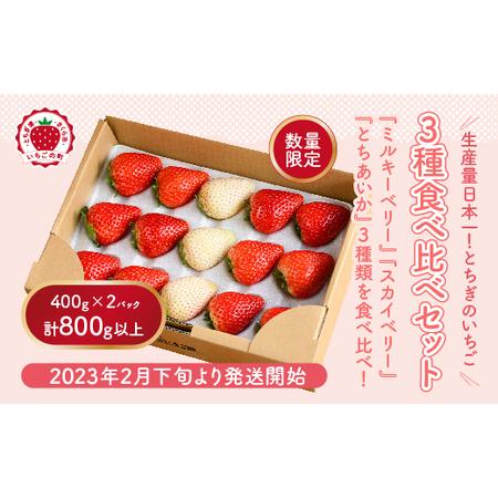 ふるさと納税 満足3種食べ比べセット（ミルキーベリー、スカイベリー、とちあいか）400g×2パック　800g【先行予約 数量限定 栃木県 果物 .. 栃木県さくら市