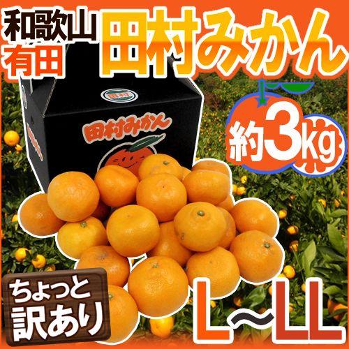 みかん 和歌山有田産 ”田村みかん” ちょっと訳あり L〜LL 約3kg 化粧箱 送料無料