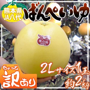 熊本県八代特産 ”晩白柚” ばんぺいゆ ちょっと訳あり 大玉2Lサイズ 約2kg