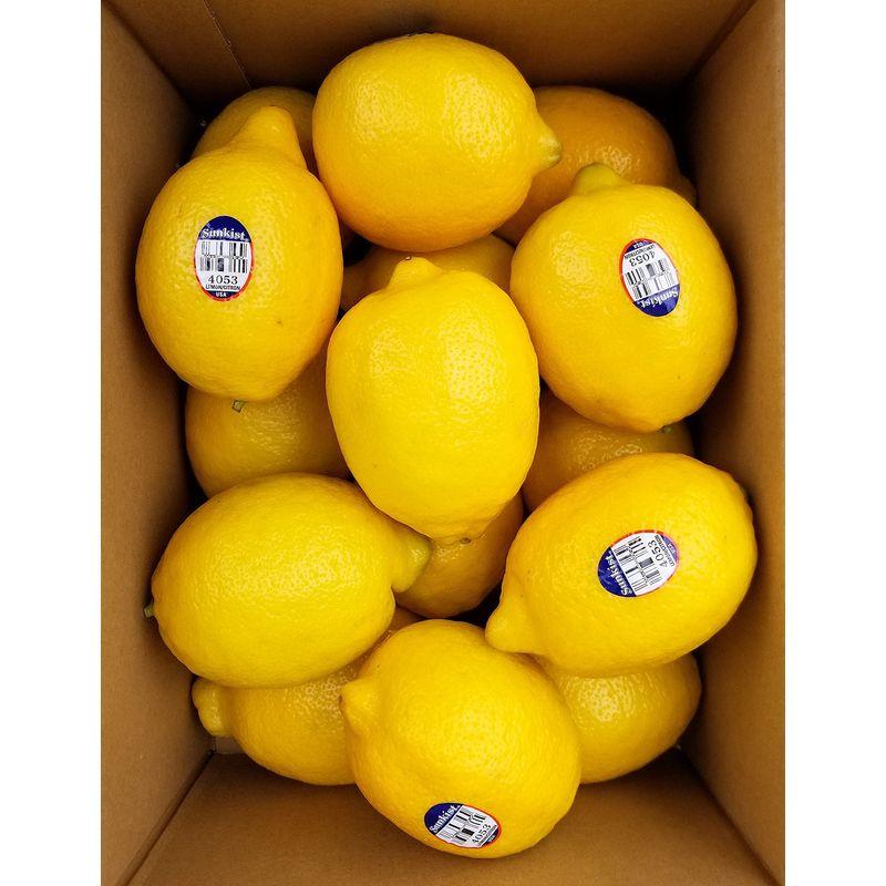 レモン カリフォルニア産 約2.5? 15個-16個 化粧箱 翌日お届け Lemon