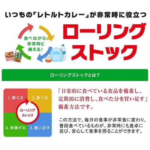 ハウス レトルトジャワカレー 辛口 200g*2箱セット  ジャワカレー