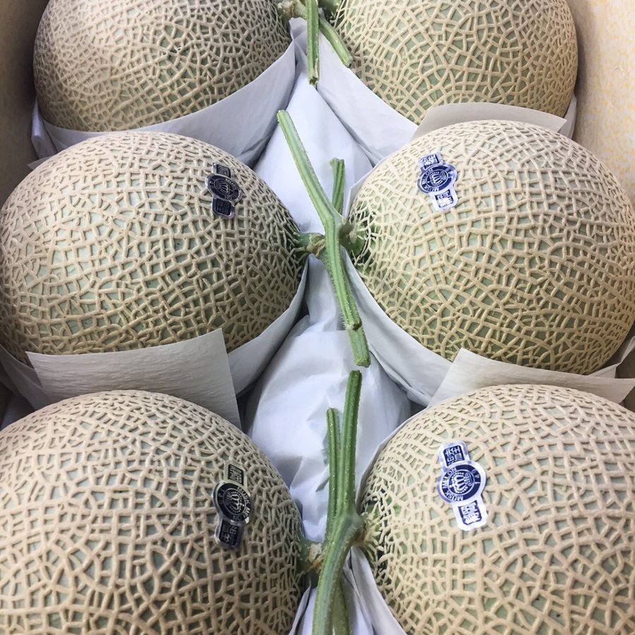 クラウンメロン　山等級 ６玉入り 静岡産　約9kg