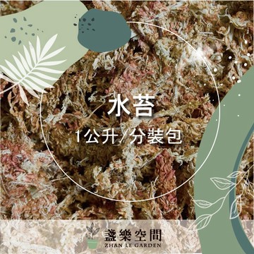 水苔 智利水苔 水草【土壤】智利水苔 苔球植物 鹿角蕨 蕨類 缽底石 水耕 礫耕 多肉土 觀葉植物土【盞樂空間】