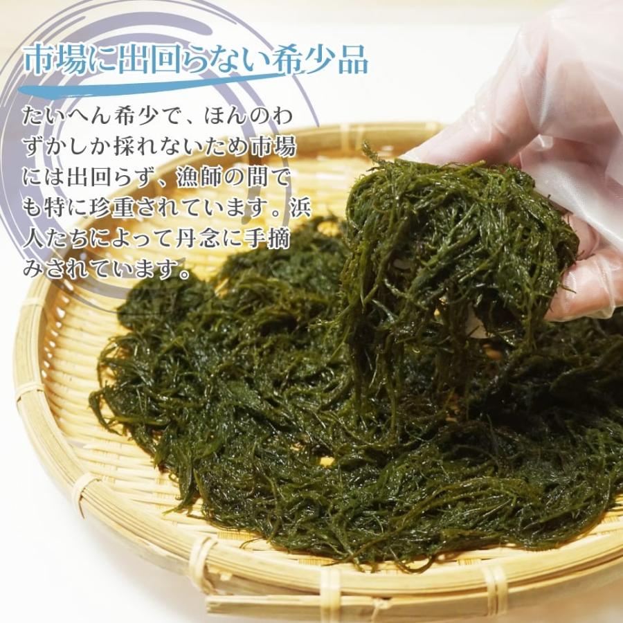 海藻 生まつも 150g 生冷凍 天然函館産 シャッキッ歯触り 採れたてそのまま