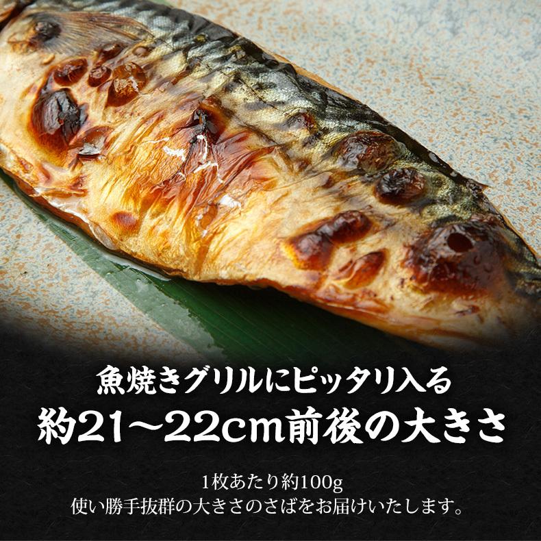 切り身 魚 サバ 無塩 さばフィーレ 約100g×2切れ さば 切身 鯖 焼き魚 冷凍 フィレ
