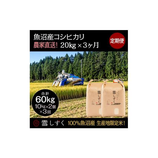 ふるさと納税 新潟県 十日町市 定期便！魚沼産コシヒカリ毎月20kg×3回