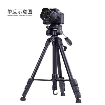 佳能單反三腳架便攜g7x2m50m6200d70d800d80d600d750d6d2相機支架