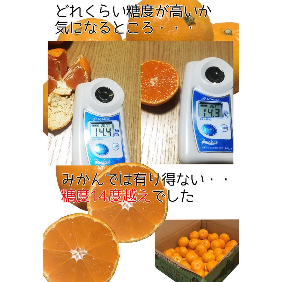 みかん 送料無料 小玉 有田 7.5Kg 和歌山県産 有田 完熟 味エース みかん 赤秀 2Sサイズ 7.5kg 贈答用 ギフト お歳暮 ギフト 糖度保証