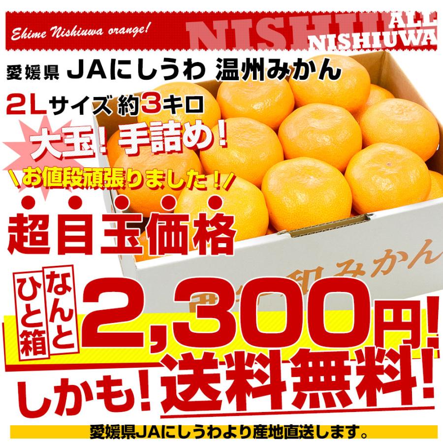 愛媛県より産地直送 JAにしうわ 西宇和温州みかん 2Lサイズ 約3キロ　送料無料 みかん ミカン 蜜柑