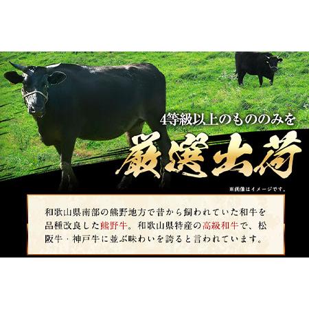 ふるさと納税 「熊野牛」特選モモ焼肉1.2kg 4等級以上 株式会社松源 《90日以内に順次出荷(土日祝除く)》 和歌山県 紀の川市 和歌山県紀の川市