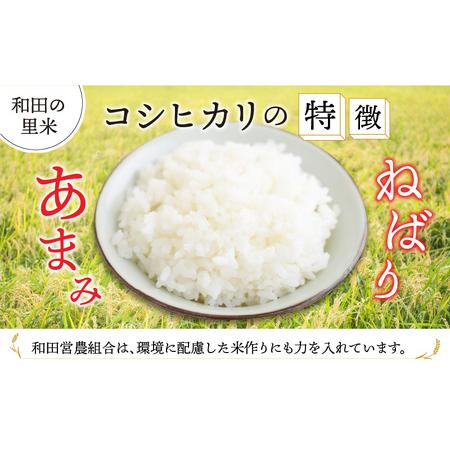 ふるさと納税 和田の里米 コシヒカリ 玄米 10kg 福井県高浜町