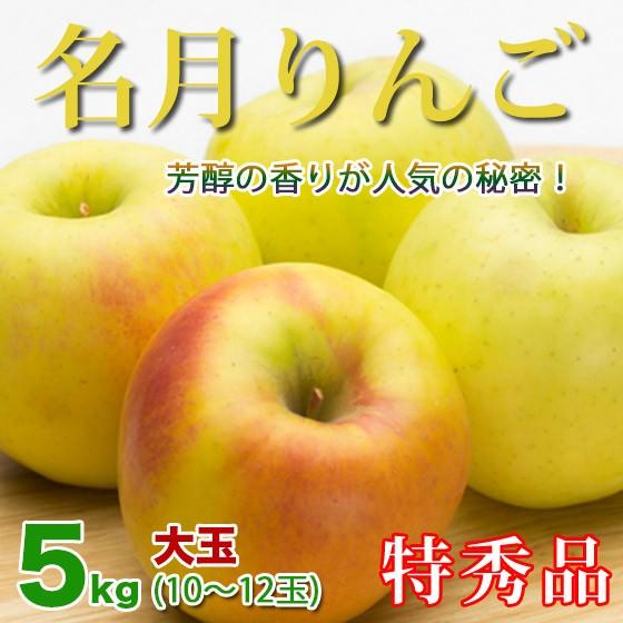 [ポイント5倍] 名月りんご お歳暮 ギフト 長野県産 5kg 特秀 10-12玉 大玉