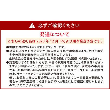 ふるさと納税 ソムリエ ミニトマト  プラチナ 3kg とまと トマト 熊本県