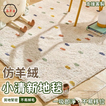 可開發票 免運 【小清新地毯 免運可客製】仿羊絨地墊 爬行地毯 茶幾毯 滿鋪門墊 可水洗腳墊 房間爬爬墊 書房客廳毯 床邊毯 工廠現貨直銷 售後保障 6z13