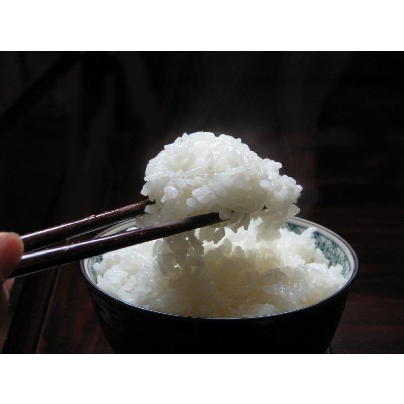 令和5年長野県産米ミルキークイーン 炊飯食味値91点バランス9.7点の極上白米９kgミネラルたっぷり美味しいお米は農家直送 送料無料通販でお届け