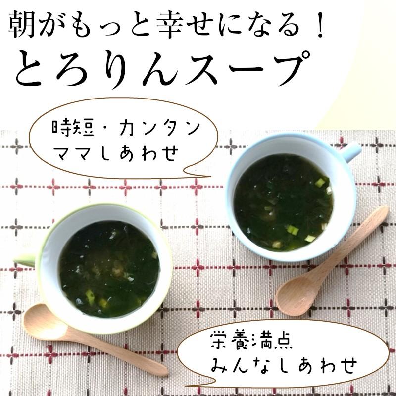 昆布 海藻 がごめ昆布 わかめ とろろ昆布入 即席 お試し 海藻スープ インスタント 食物繊維 食品 たっぷり15杯分 とろりんスープ（プレーン） 60g×1袋