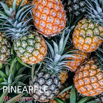 2026/4月 預購 金鑽鳳梨 有機肥 無生長激素不咬舌 產地直送 6斤/9斤/18斤